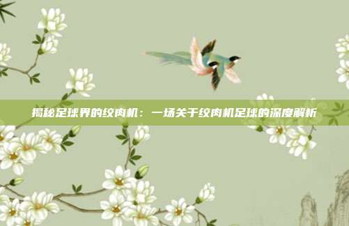 揭秘足球界的绞肉机：一场关于绞肉机足球的深度解析
