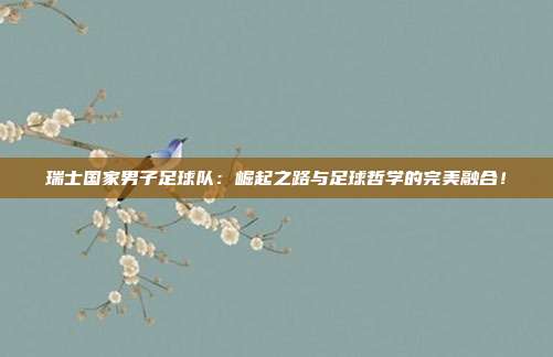 瑞士国家男子足球队:崛起之路与足球哲学的完美融合!