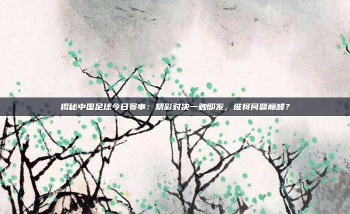 揭秘中国足球今日赛事：精彩对决一触即发，谁将问鼎巅峰？