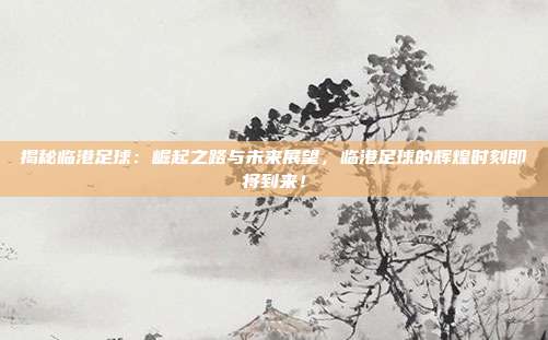 揭秘临港足球:崛起之路与未来展望,临港足球的辉煌时刻即将到来!