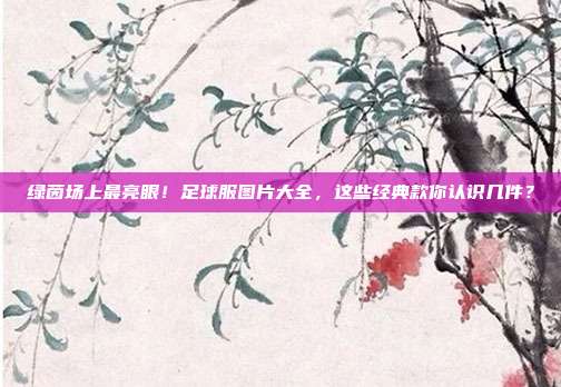 绿茵场上最亮眼！足球服图片大全，这些经典款你认识几件？