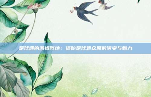 足球迷的激情阵地：揭秘足球观众席的演变与魅力
