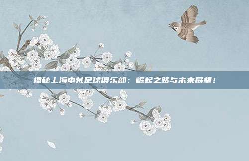揭秘上海申梵足球俱乐部：崛起之路与未来展望！