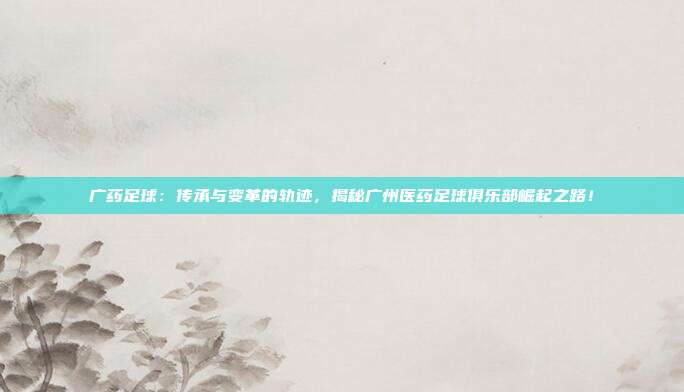 广药足球：传承与变革的轨迹，揭秘广州医药足球俱乐部崛起之路！