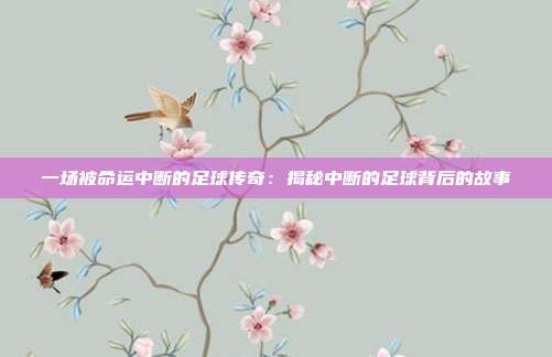 一场被命运中断的足球传奇:揭秘中断的足球背后的故事