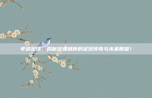 孝感足球：揭秘这座城市的足球传奇与未来展望！