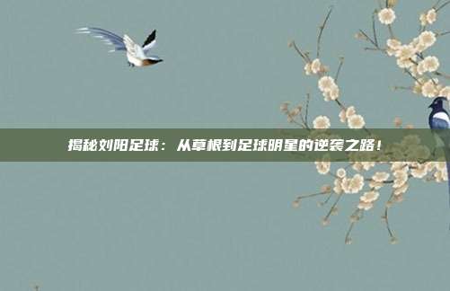 揭秘刘阳足球:从草根到足球明星的逆袭之路!