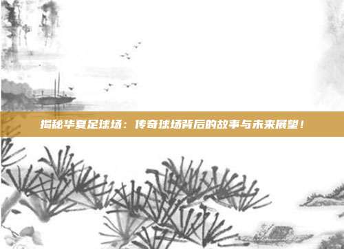 揭秘华夏足球场：传奇球场背后的故事与未来展望！