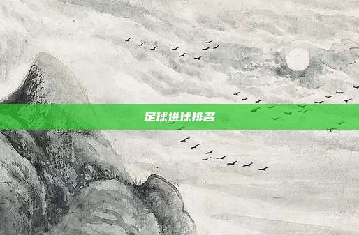 足球进球排名