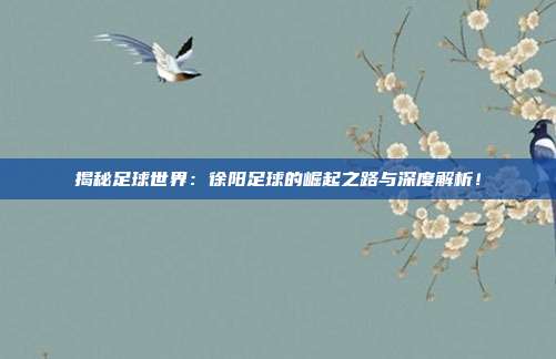揭秘足球世界：徐阳足球的崛起之路与深度解析！