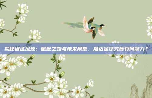 揭秘洛达足球:崛起之路与未来展望,洛达足球究竟有何魅力?