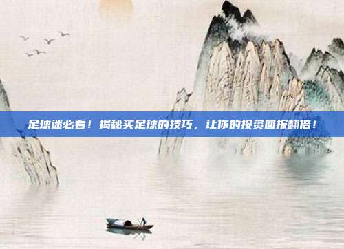 足球迷必看！揭秘买足球的技巧，让你的投资回报翻倍！