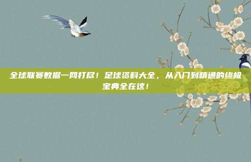 全球联赛数据一网打尽！足球资料大全，从入门到精通的终极宝典全在这！