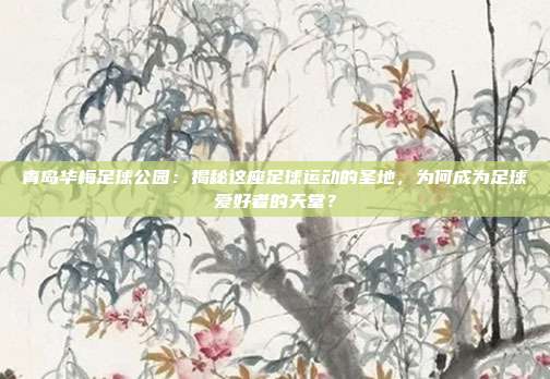 青岛华梅足球公园：揭秘这座足球运动的圣地，为何成为足球爱好者的天堂？