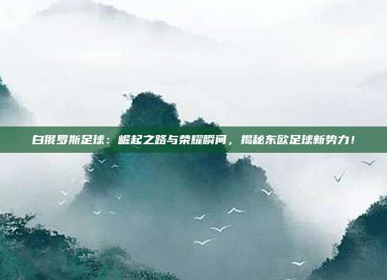 白俄罗斯足球：崛起之路与荣耀瞬间，揭秘东欧足球新势力！