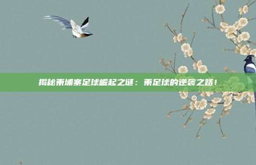 揭秘柬埔寨足球崛起之谜：柬足球的逆袭之路！