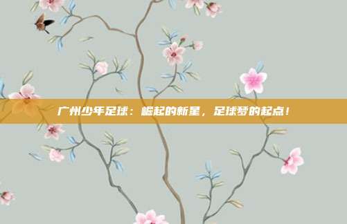广州少年足球：崛起的新星，足球梦的起点！