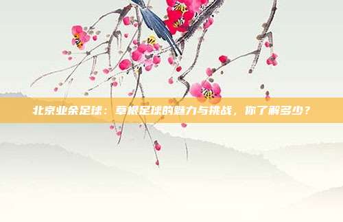 北京业余足球:草根足球的魅力与挑战,你了解多少?