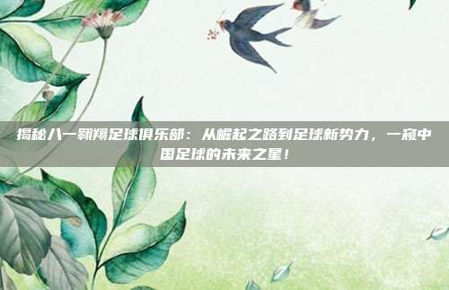 揭秘八一翱翔足球俱乐部:从崛起之路到足球新势力,一窥中国足球的未来之星!