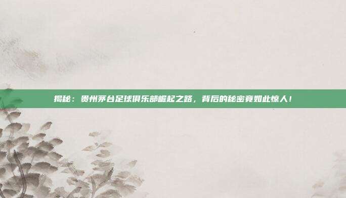 揭秘:贵州茅台足球俱乐部崛起之路,背后的秘密竟如此惊人!