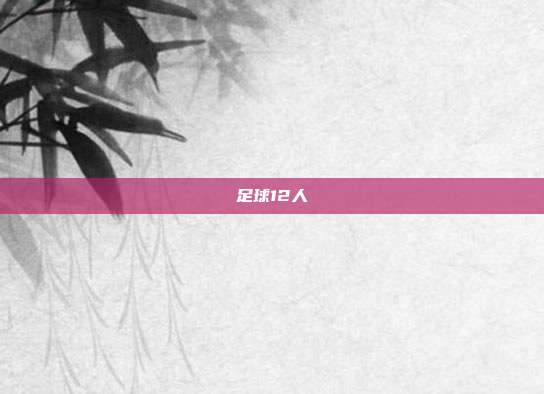 足球12人