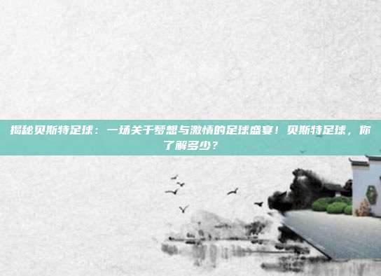 揭秘贝斯特足球:一场关于梦想与激情的足球盛宴!贝斯特足球,你了解多少?
