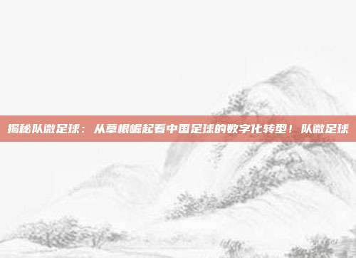 揭秘队微足球:从草根崛起看中国足球的数字化转型!队微足球