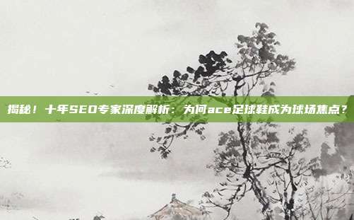 揭秘!十年SEO专家深度解析:为何ace足球鞋成为球场焦点?
