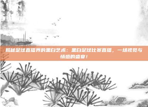 揭秘足球直播界的黑白艺术:黑白足球比赛直播,一场视觉与情感的盛宴!
