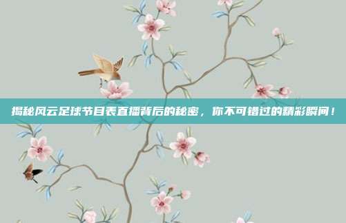 揭秘风云足球节目表直播背后的秘密，你不可错过的精彩瞬间！