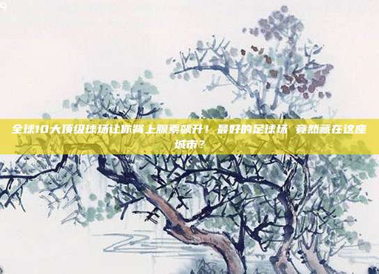 全球10大顶级球场让你肾上腺素飙升！最好的足球场 竟然藏在这座城市？