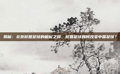 揭秘：北京校园足球的崛起之路，校园足球如何改变中国足球？