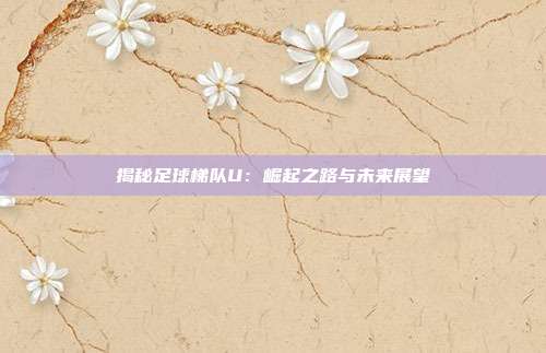 揭秘足球梯队U：崛起之路与未来展望