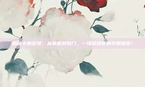 揭秘卡帕足球：从草根到豪门，一场足球梦的华丽蜕变！