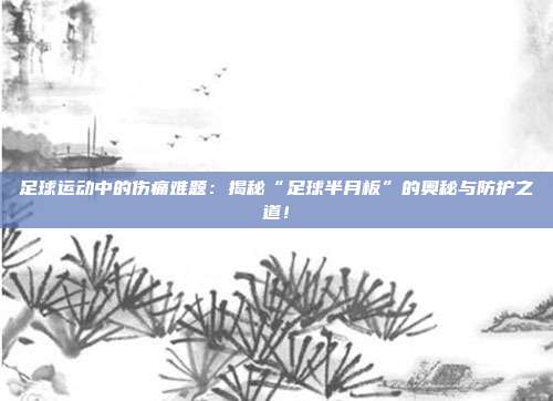 足球运动中的伤痛难题：揭秘“足球半月板”的奥秘与防护之道！