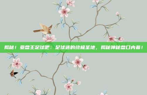 揭秘!亚盘王足球吧:足球迷的终极圣地,揭秘神秘盘口内幕!