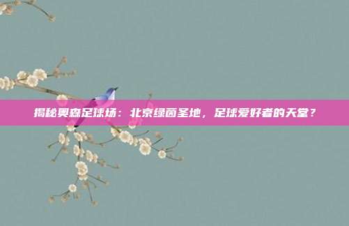 揭秘奥森足球场:北京绿茵圣地,足球爱好者的天堂?