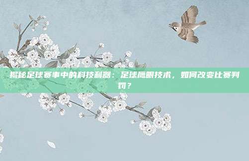 揭秘足球赛事中的科技利器：足球鹰眼技术，如何改变比赛判罚？