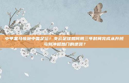 中甲黑马惊艳中国足坛！支云足球如何用三年时间完成从升班马到冲超热门的逆袭？