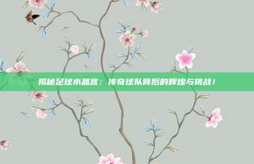 揭秘足球水晶宫：传奇球队背后的辉煌与挑战！