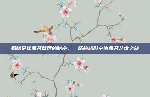 揭秘足球命名背后的秘密:一场跨越时空的命名艺术之旅