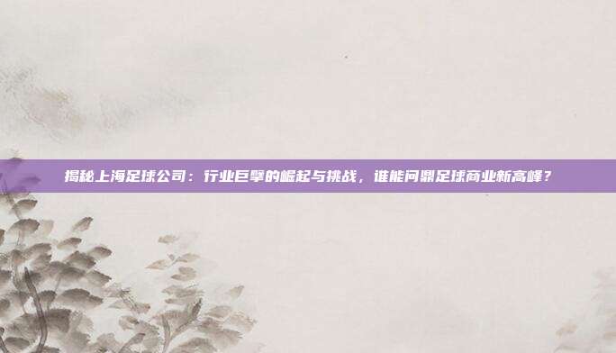 揭秘上海足球公司:行业巨擘的崛起与挑战,谁能问鼎足球商业新高峰?