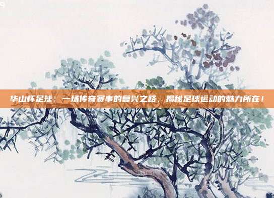 华山杯足球：一场传奇赛事的复兴之路，揭秘足球运动的魅力所在！