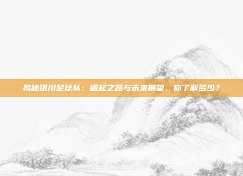 揭秘银川足球队：崛起之路与未来展望，你了解多少？