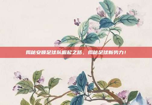 揭秘安顺足球队崛起之路，揭秘足球新势力！