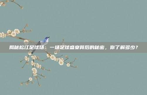 揭秘松江足球场:一场足球盛宴背后的秘密,你了解多少?