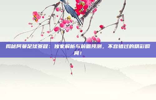 揭秘阿曼足球赛程:独家解析与前瞻预测,不容错过的精彩瞬间!