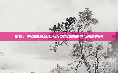 揭秘！中国明星足球队成员背后的故事与荣耀瞬间