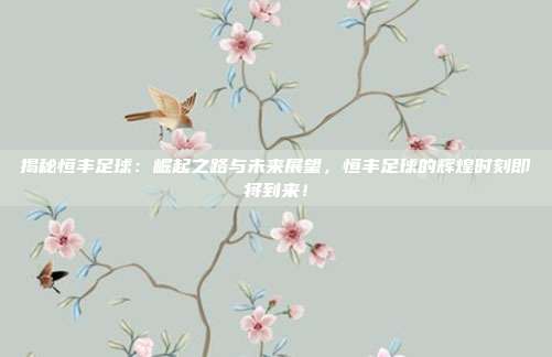 揭秘恒丰足球：崛起之路与未来展望，恒丰足球的辉煌时刻即将到来！