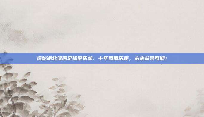 揭秘湖北绿茵足球俱乐部：十年风雨历程，未来前景可期！